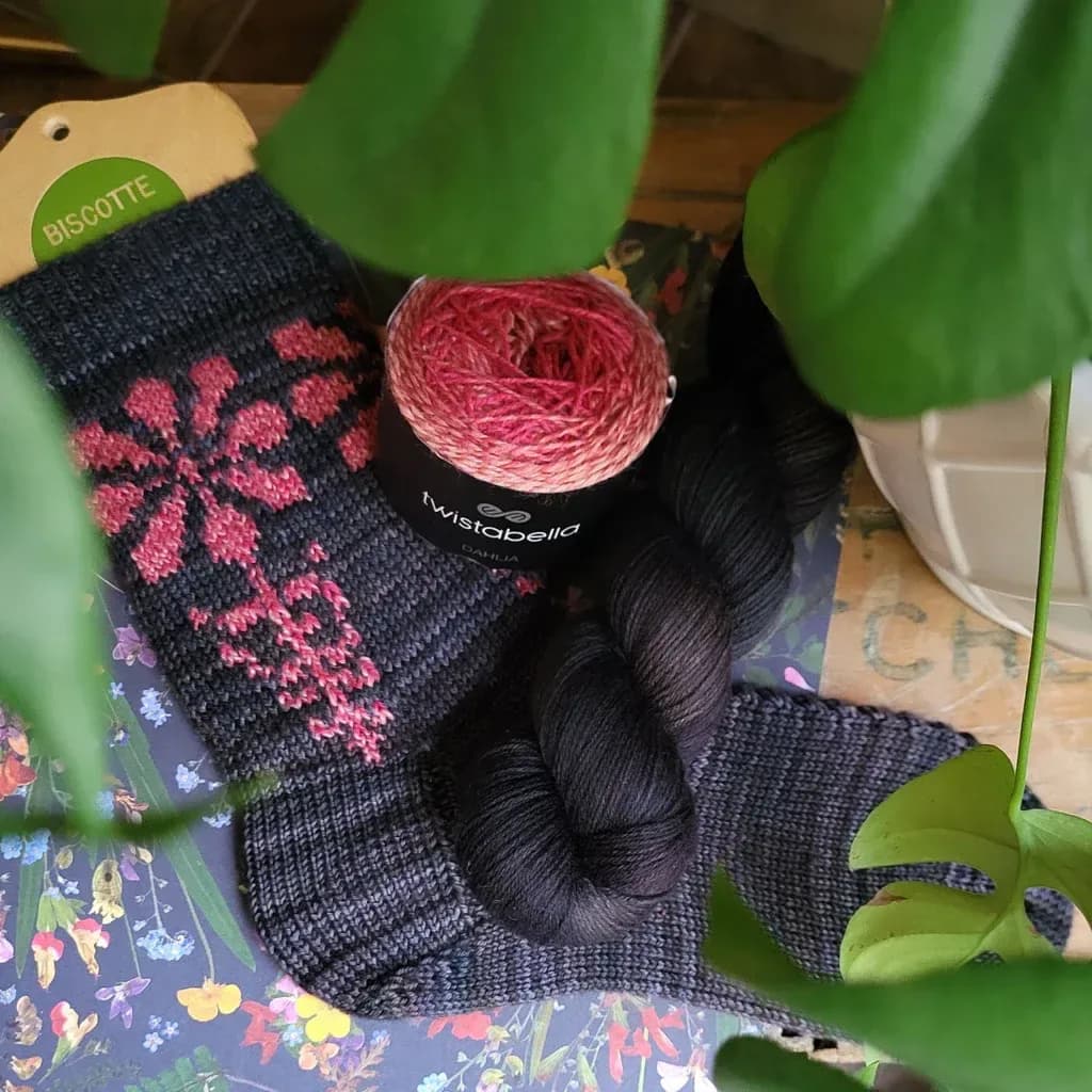 Tithonia Socks - Louise Robert Design