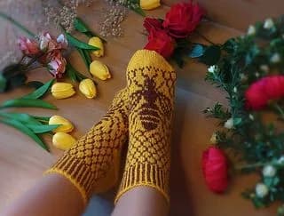 Bee The One - Sockisticated